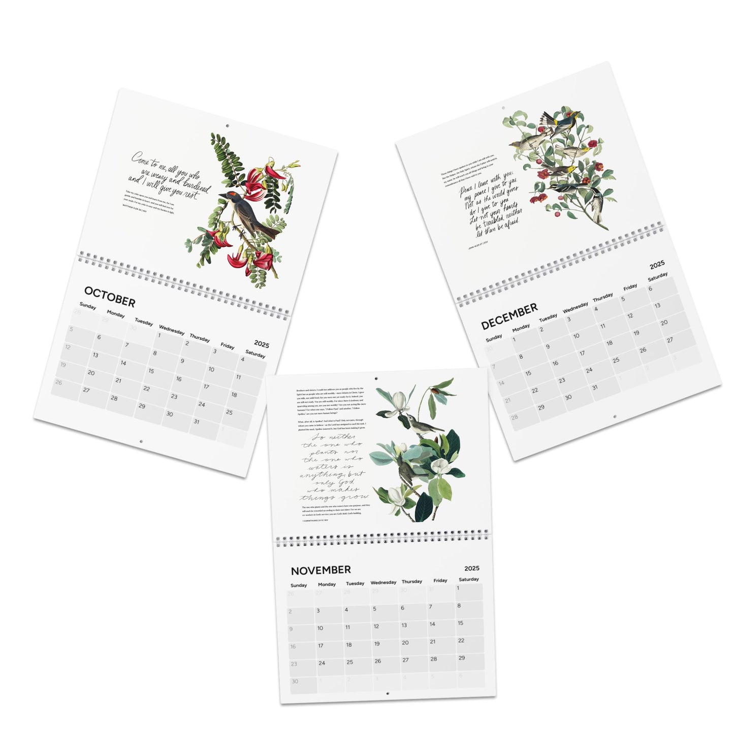 Consider the Birds & Flowers - 2025 Wall Calendar - A Thousand Elsewhere