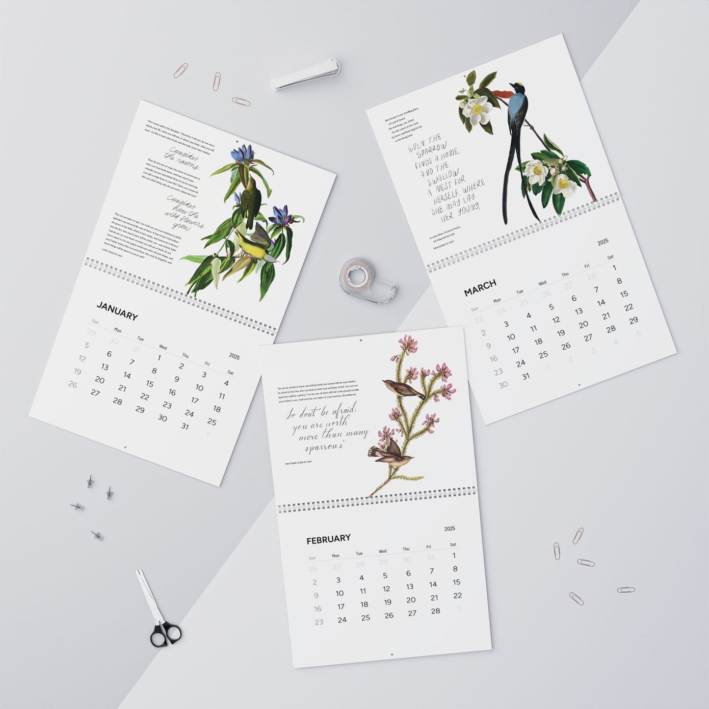 Consider the Birds & Flowers - 2025 Wall Calendar