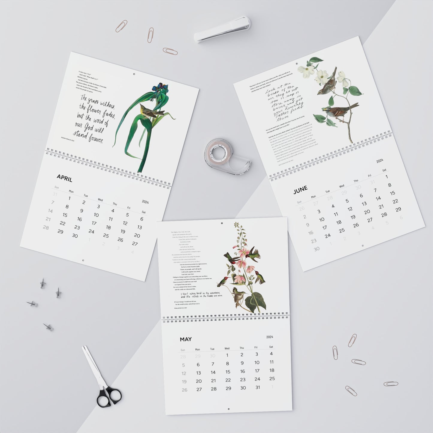 Consider the Birds & Flowers - 2024 Wall Calendar - A Thousand Elsewhere