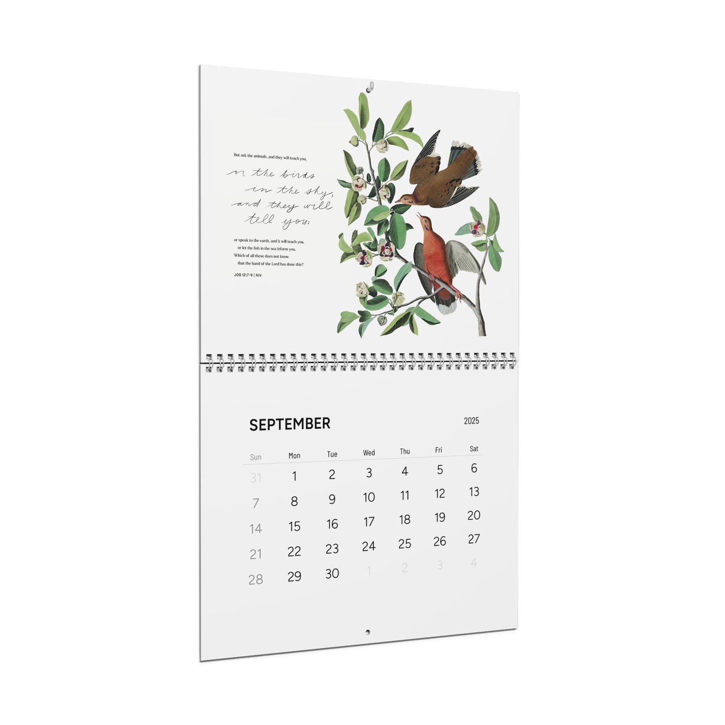 Consider the Birds & Flowers - 2025 Wall Calendar